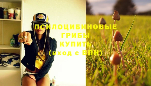 прущая мука Богородицк